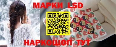 крисы Новодвинск
