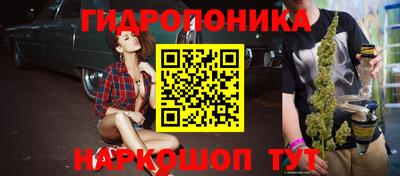 крисы Новодвинск