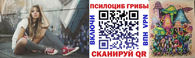 сайты даркнета наркотические препараты  Сызрань  Галлюциногенные грибы Psilocybine cubensis  купить закладку 