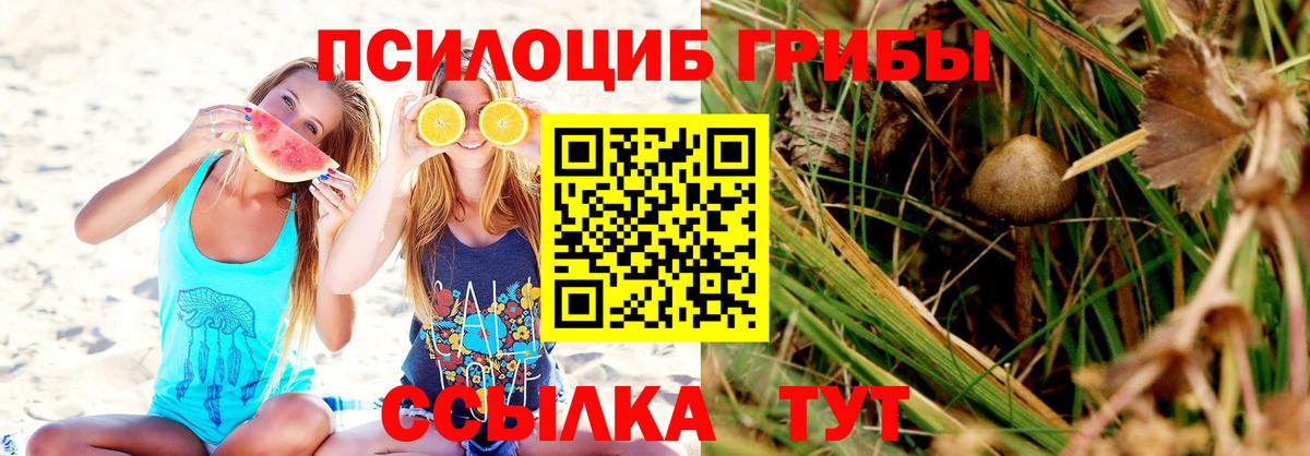 Галлюциногенные грибы прущие грибы Сызрань